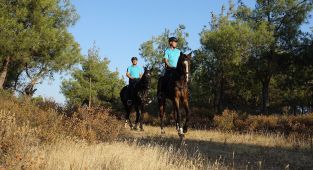 Atlı birlikler ile komandolar 7/24 yangın nöbetinde
