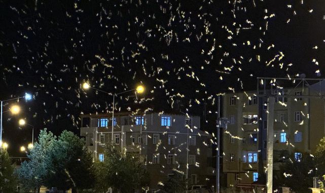 Bir günlüklerin ölüm dansı başladı