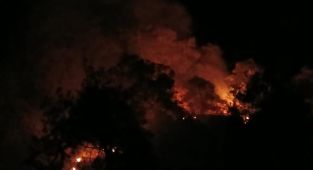 Denizli'de orman yangını
