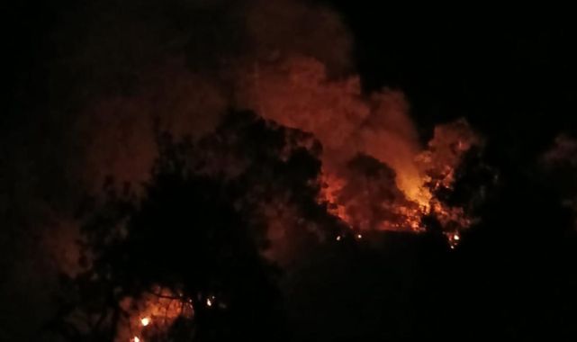 Denizli'de orman yangını