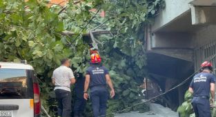 İstanbul'da ağaçlar park halindeki otomobillerin üstüne devrildi