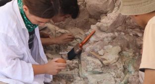 Kavurucu sıcaklarda 9 milyon yıllık fosillerin izini sürüyorlar