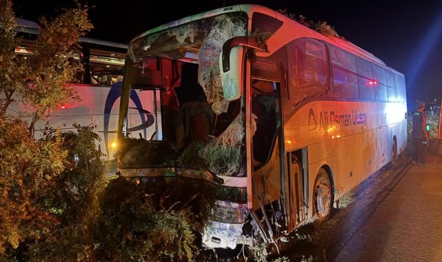 Kayseri'de yolcu otobüsü refüjdeki ağaçlara çarptı
