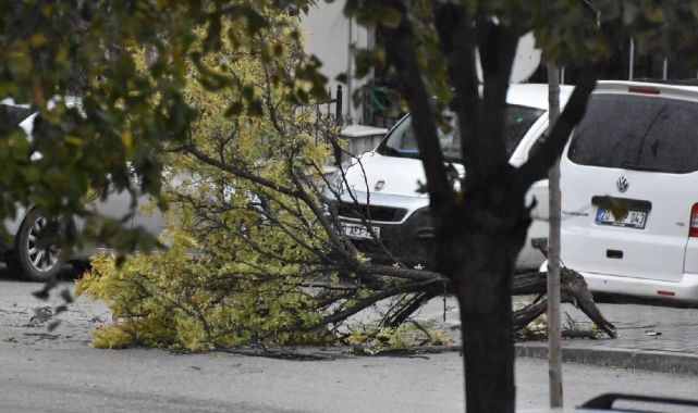 Meteoroloji'den 13 il için fırtına uyarısı