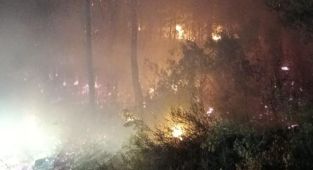 Muğla'da orman yangını