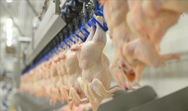 Beyaz et sektöründeki 13 firmaya 3,7 milyar lira ceza