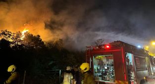 Beykoz'da rüzgarın etkisiyle büyüyen orman yangını kontrol altında
