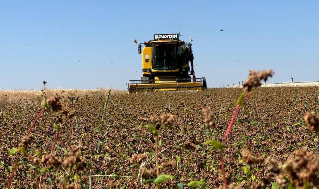 Çiftçilere destekleme ödemesi bugün yapılacak