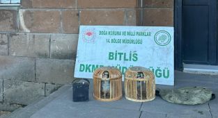 Kaçak keklik avlayan kişilere para cezası kesildi