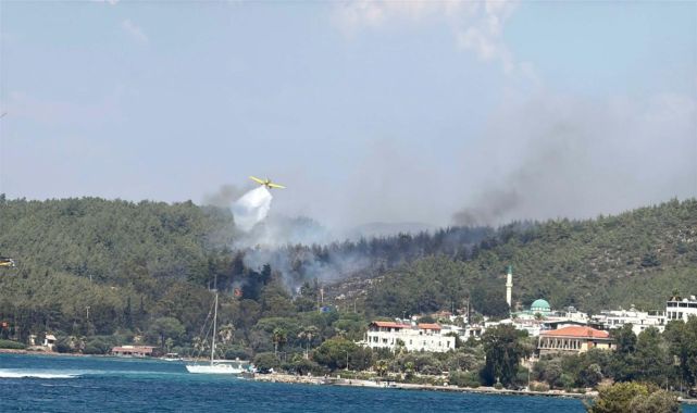 Muğla Bodrum'da orman yangını