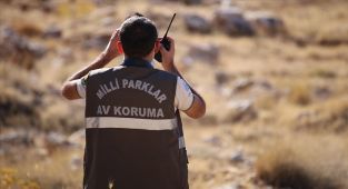 DKMP Genel Müdürlüğü 13 personel istihdam edecek