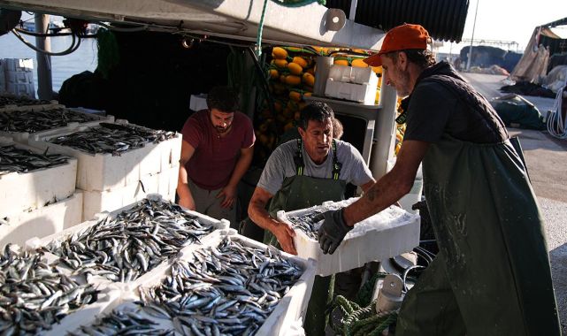Ege'de sardalya bolluğu balıkçıları sevindirdi