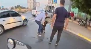 Mersin'de rottweiler cinsi köpek iki kişiye saldırdı