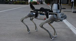 Robot köpeklere milli rakip: PROTEO göreve hazır