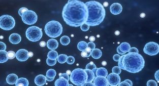 ABD'de listeria bakterisi salgını: 6 kişi öldü, 25 kişi hastaneye kaldırıldı
