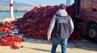 İzmir'de kaçak avlanan 27 ton midye ele geçirildi