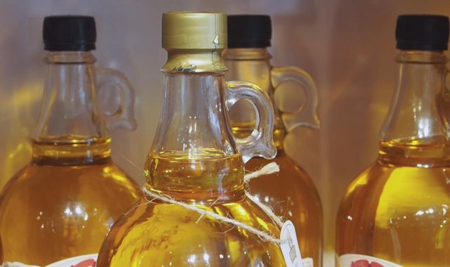 Zeytinyağı Araştırması: Taze Sıkım Sızma Zeytinyağı Diz Kireçlenmesini Hafifletiyor