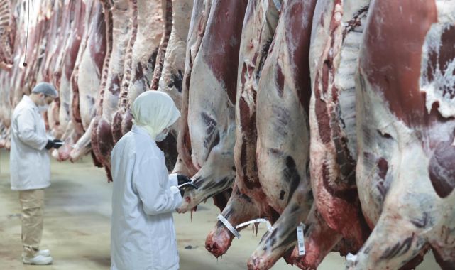 Ankara merkezli 8 ilde 'kırmızı et' operasyonu: 30 şüpheli gözaltına alındı