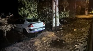 Elazığ'da yoldan çıkan otomobildeki 4 kişi yaralandı