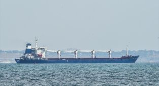 AB: Ukrayna'dan çalınan tahıl nedeniyle üçüncü ülkelere yaptırım uygulayabiliriz