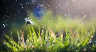 Son yağışlar tabloyu değiştirmedi: Kuraklık sürüyor