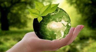 COP31 Türkiye için denizlerde işbirliği ve sıfır karbon fırsatı sunuyor