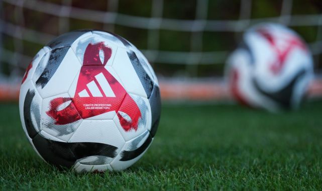 Süper Lig'e veda eden 2 takım belli oldu