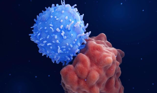 Kansere karşı dünyada bir ilk: Yeni mRNA aşısı geliştirildi