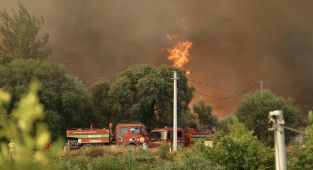 Fethiye'de orman yangını