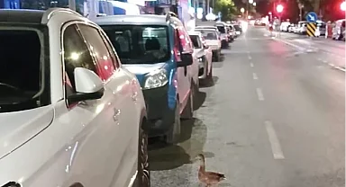 Karşıyaka'da trafiği durdurup ördeği kurtardılar