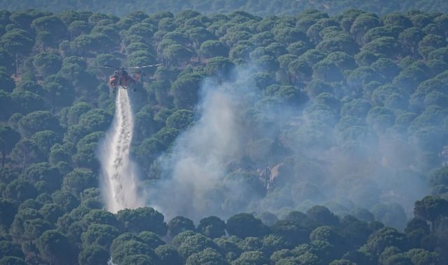 1 Haziran'dan bugüne kadar çıkan yangınlarda 9 tutuklama