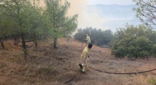 Manisa'da çıkan orman yangınına müdahale ediliyor
