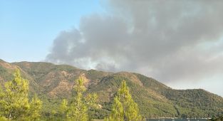 Muğla'da orman yangını